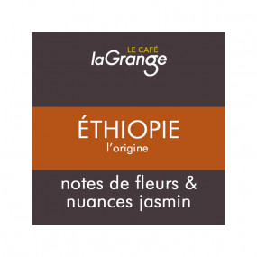 Ethiopie l'origine moka sidamo - café grain