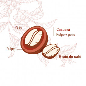 Cascara