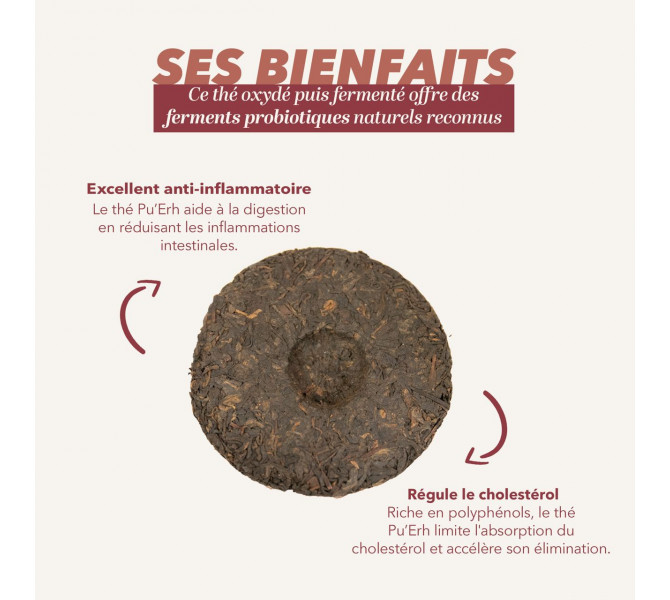 Thé millésimé - Galette Pu'erh