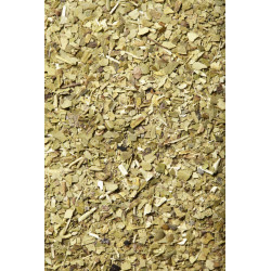 Maté