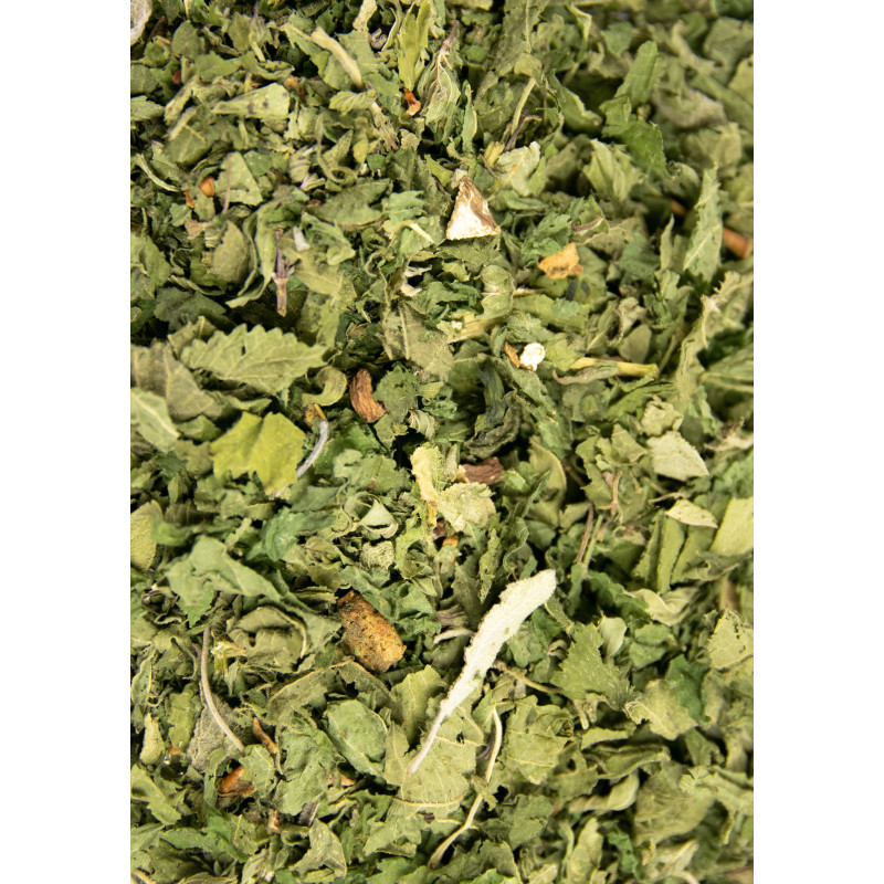 Infusion Menthe Poivrée Ortie Pissenlit Pomme Sauge - Purifiant