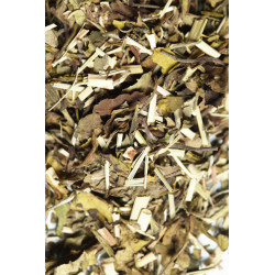 Thé blanc citronnelle romarin