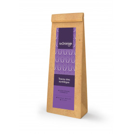 Tisane des sortilèges