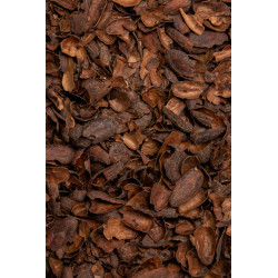 Au goûter de Louis BIO | Infusions laGrange