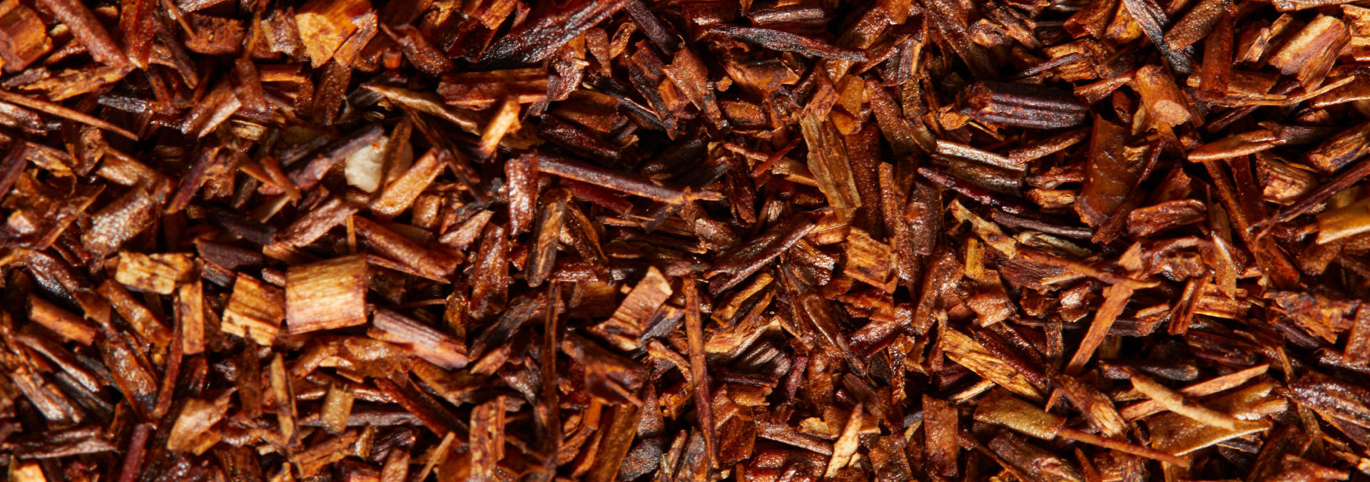 Rooibos
