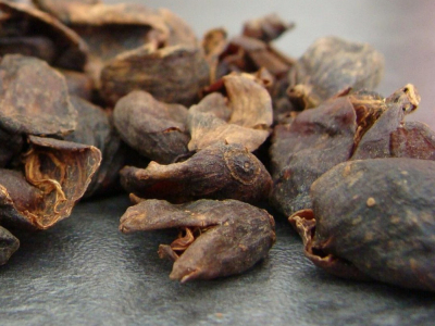 Cascara : Découvrez l'infusion naturelle aux vertus surprenantes