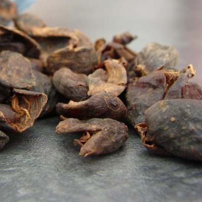 Cascara : Découvrez l'infusion naturelle aux vertus surprenantes